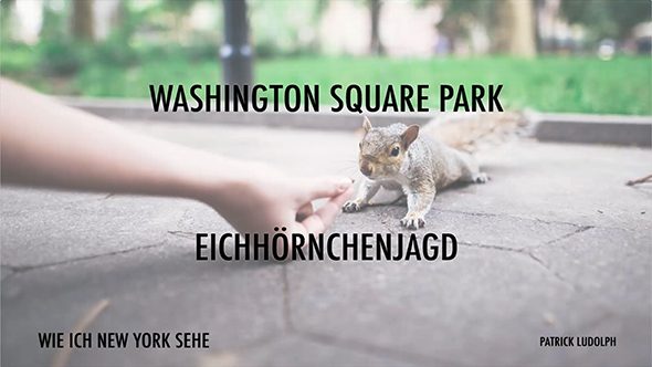 14 Eichhörnchenjagd im Washington Square Park.mp4